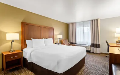 Photo 5 - Comfort Inn & Suites Midtown