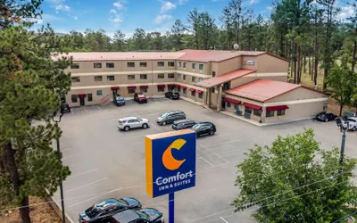 Photo 2 - Comfort Inn & Suites Midtown
