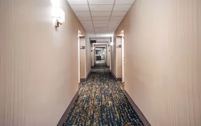 Photo 4 - Hampton Inn Winter Haven