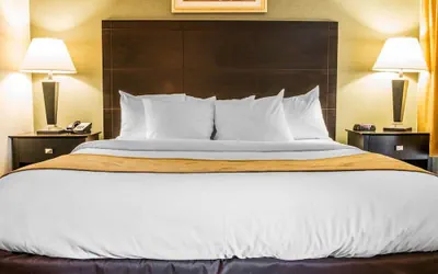 Photo 5 - Comfort Inn Whitehall near Michigan's Adventure
