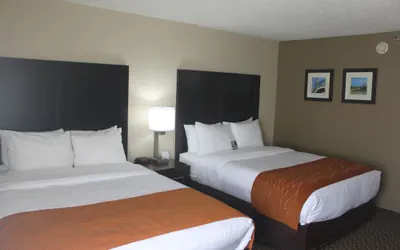 Photo 3 - Spark by Hilton Matteson Chicago I 57