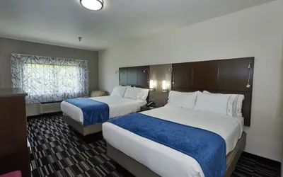 Photo 5 - Holiday Inn Express & Suites Birmingham South - Pelham by IHG