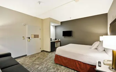 Photo 4 - SpringHill Suites by Marriott San Antonio Medical Center/NW