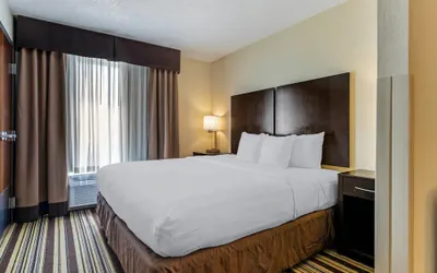 Photo 5 - Comfort Inn & Suites Triadelphia - Wheeling