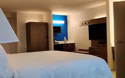 Photo 2 - Holiday Inn Express Hotel & Suites DFW Airport South by IHG