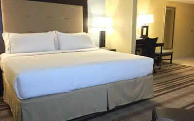 Photo 3 - Holiday Inn Express Chicago NW - Arlington Heights by IHG