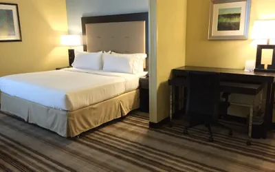 Photo 5 - Holiday Inn Express Chicago NW - Arlington Heights by IHG