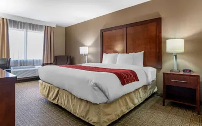 Photo 3 - Comfort Inn & Suites Leeds I-20