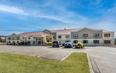Photo 2 - Comfort Inn & Suites Leeds I-20