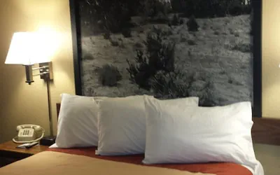Photo 5 - Super 8 by Wyndham Las Cruces/White Sands Area
