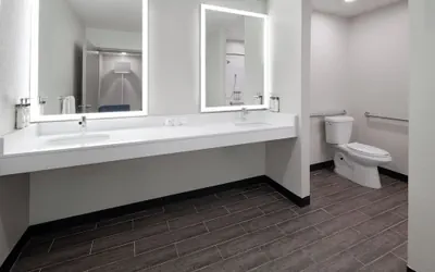 Photo 3 - Holiday Inn Express & Suites Wyomissing by IHG