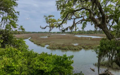 Hampton Inn Beaufort