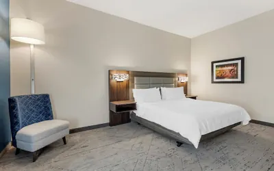 Photo 5 - Holiday Inn Express & Suites Nashville Southeast - Antioch by IHG