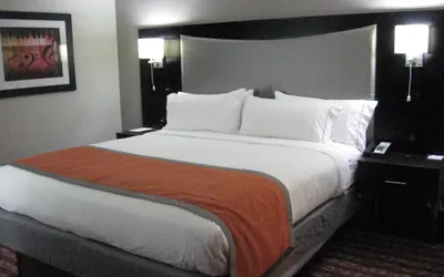 Photo 4 - Holiday Inn Express & Suites Nashville Southeast - Antioch by IHG