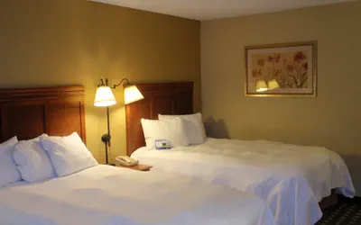 Photo 3 - Baymont by Wyndham Lewisville