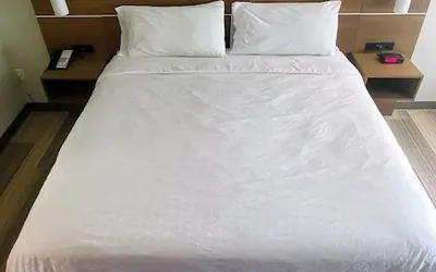 Photo 4 - Holiday Inn Express Hotel and Suites Kinston by IHG