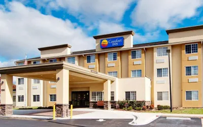 Photo 2 - Comfort Inn Mount Airy
