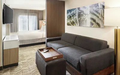 Photo 5 - Springhill Suites By Marriott Atlanta Six Flags