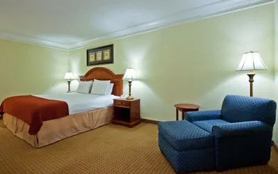 Photo 3 - Holiday Inn Express Ringgold by IHG