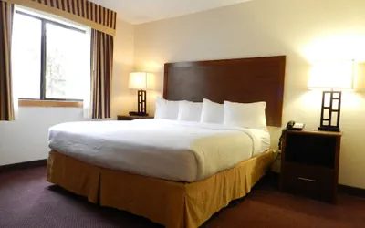 Photo 5 - Ashmore Inn and Suites