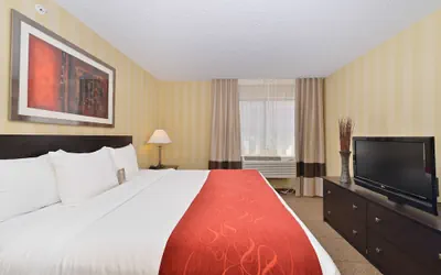 Photo 3 - Comfort Suites Highlands Ranch Denver Tech Center Area