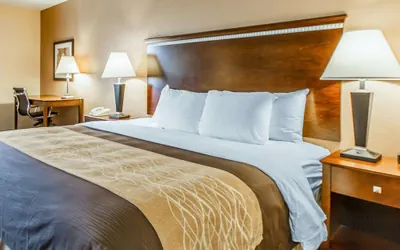 Photo 2 - Quality Inn & Suites Mount Pleasant