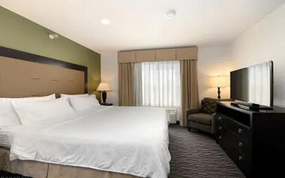 Photo 4 - Holiday Inn Express & Suites Chicago-Deerfield/Lincolnshire by IHG