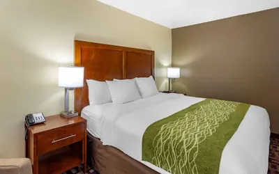 Photo 5 - Comfort Inn & Suites North Aurora - Naperville
