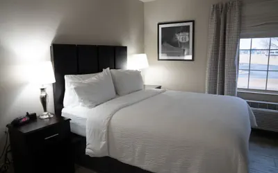 Photo 3 - Lucille's Hotel, Restaurant, & Bar