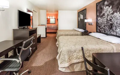 Photo 5 - Premier Inn Palestine