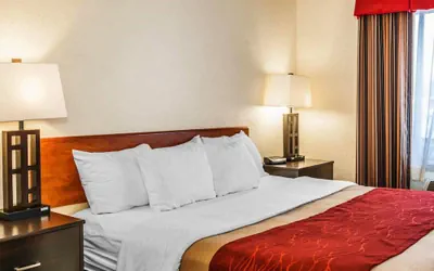 Photo 2 - Comfort Inn Avon-Indianapolis West