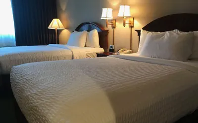Photo 3 - The Marx Hotel