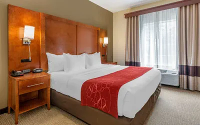 Photo 5 - Comfort Suites Newark - Harrison