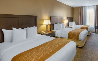 Photo 5 - Comfort Inn Evanston I-80