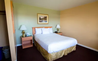 Photo 3 - Tulip Inn