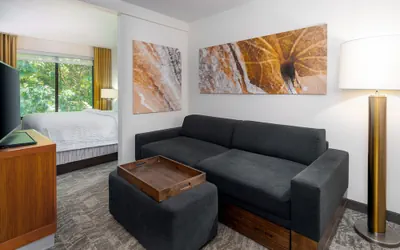 Photo 2 - SpringHill Suites by Marriott Asheville