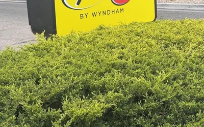 Super 8 by Wyndham Windsor