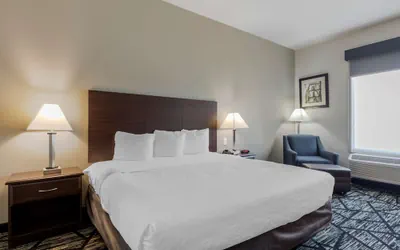 Photo 2 - BEST WESTERN PLUS McKinney Inn & Suites
