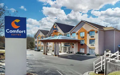 Photo 2 - Comfort Suites Northside Hospital Gwinnett