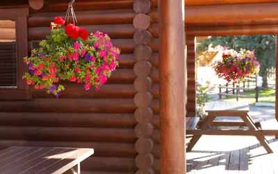 Photo 5 - Elk Country Inn
