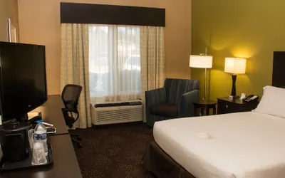Photo 5 - Holiday Inn Express Hotel & Suites Saginaw by IHG
