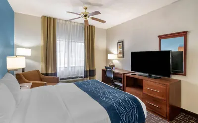 Photo 5 - Comfort Inn & Suites Lees Summit - Kansas City