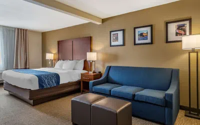 Photo 5 - Comfort Inn & Suites Texas Hill Country