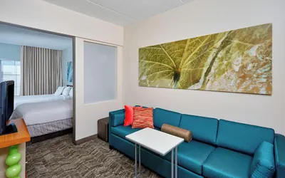 Photo 5 - SpringHill Suites by Marriott Chicago Schaumburg/Woodfield