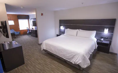 Photo 5 - Holiday Inn Express & Suites Locust Grove by IHG