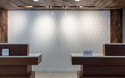 Photo 5 - Hilton Garden Inn Islip/MacArthur Airport
