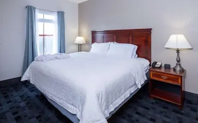 Photo 5 - Hampton Inn Lawrenceville Duluth