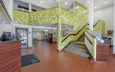Photo 5 - Sleep Inn near Busch Gardens/USF