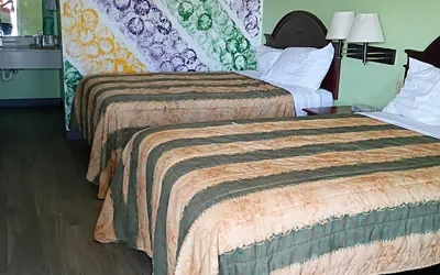 Photo 4 - NOLA Inn