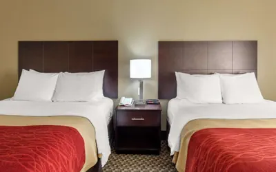 Photo 4 - Comfort Inn Horn Lake - Southhaven